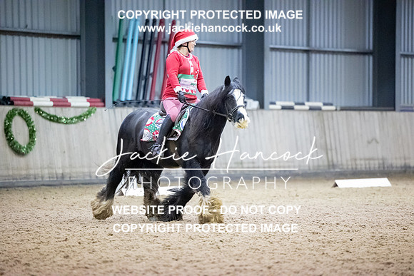 JHP_8141