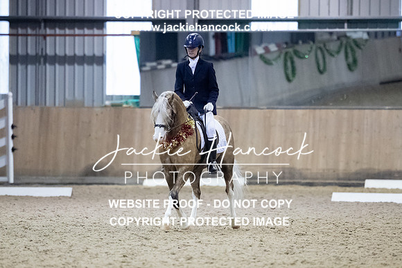 JHP_8266