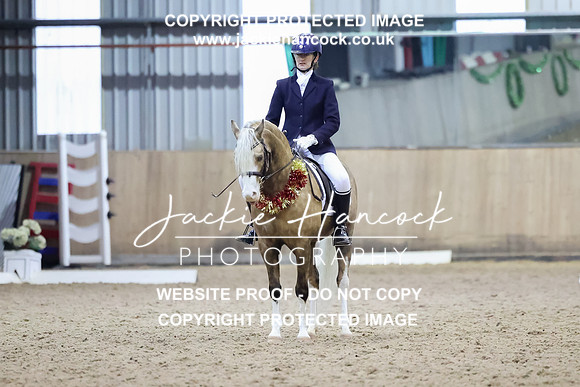 JHP_8313