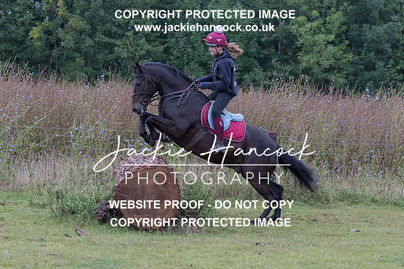 120036-150820-JHP
