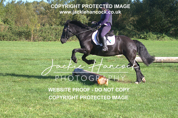 JHP20115