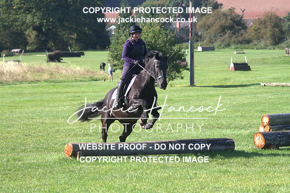 JHP20138