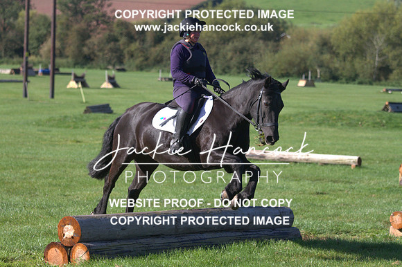 JHP20193