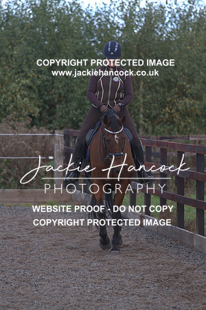 JHP20013