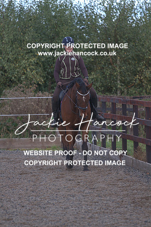 JHP20011