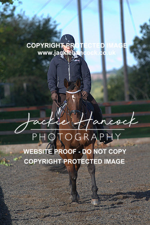 JHP20139
