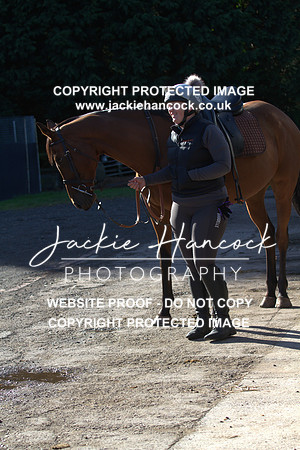 JHP20075
