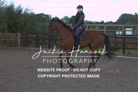 JHP20129