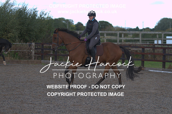 JHP20130
