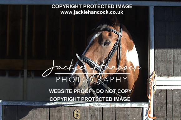 JHP20004