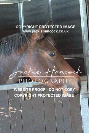 JHP20009