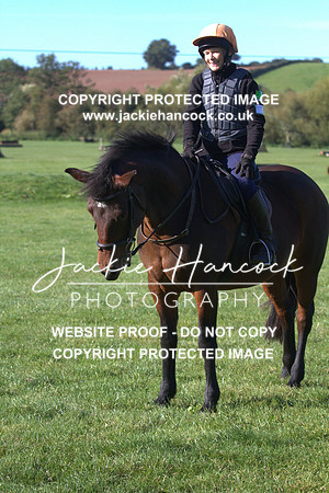 JHP20099