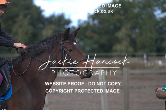 JHP20390