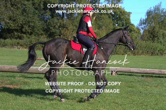 JHP20110
