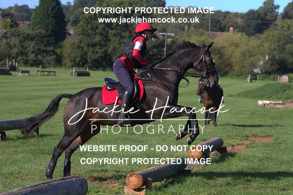 JHP20136