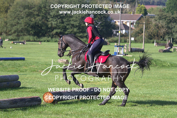 JHP20196