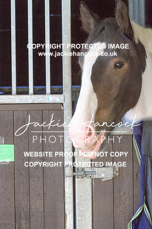 JHP20055