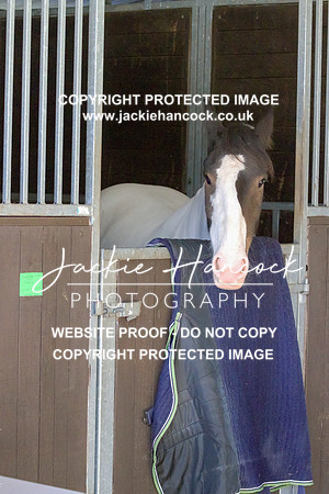 JHP20073