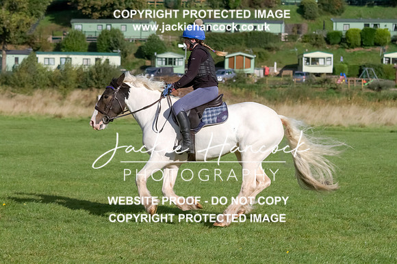 JHP20155