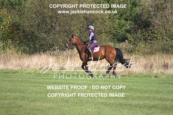 JHP20010