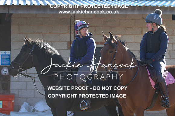 JHP20014