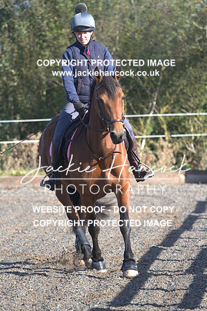 JHP20132