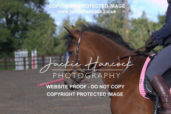 JHP20198