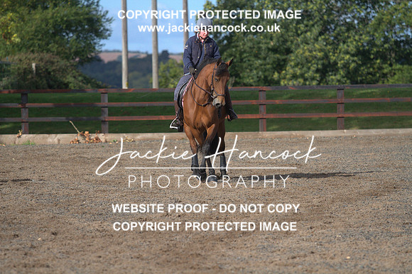 JHP20317