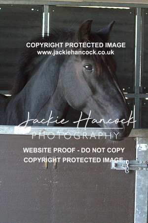 JHP20026