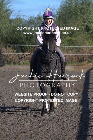 JHP20115