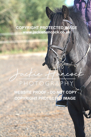 JHP20119