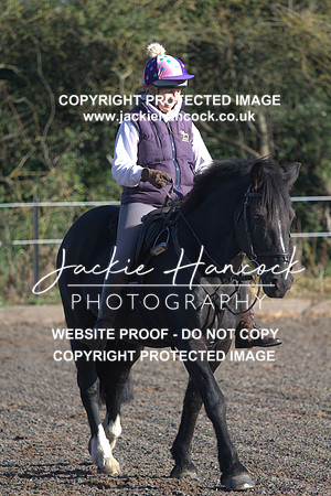 JHP20136