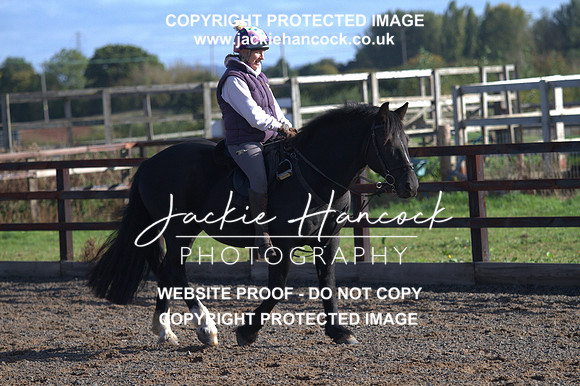 JHP20183