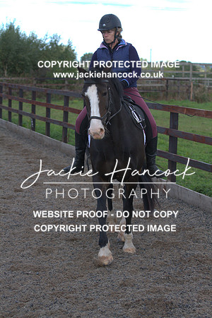 JHP20009