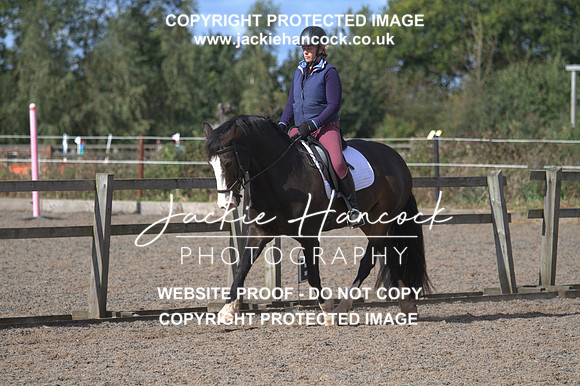 JHP20039