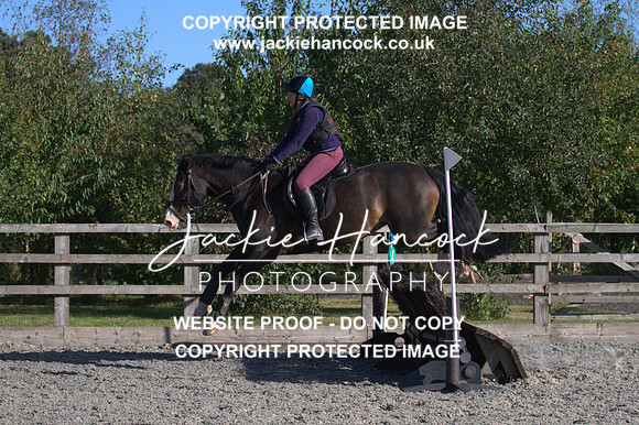 JHP20088