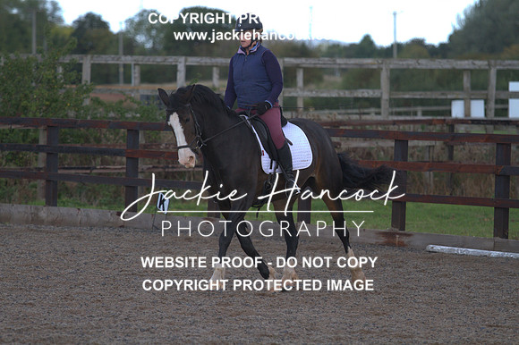 JHP20132