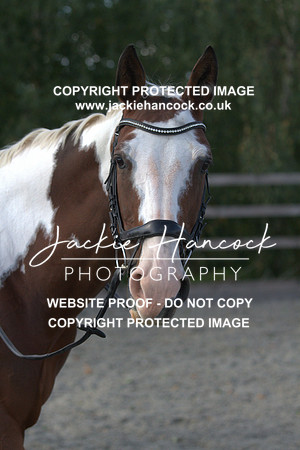 JHP20076