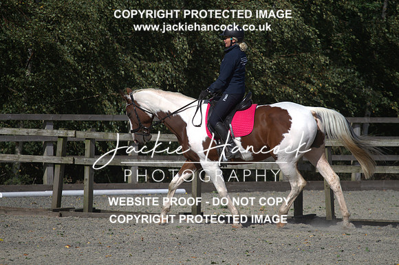 JHP20078