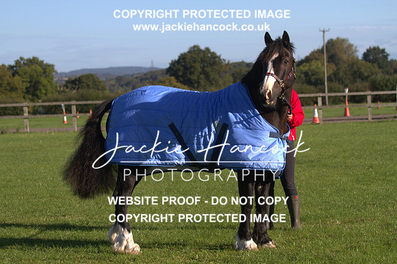 JHP20044