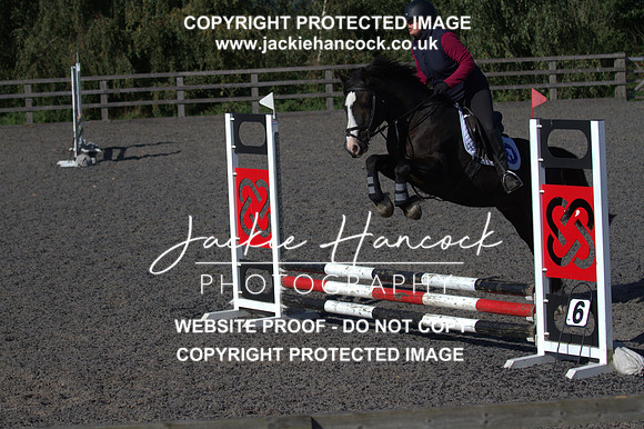 JHP20288