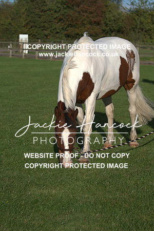 JHP20028
