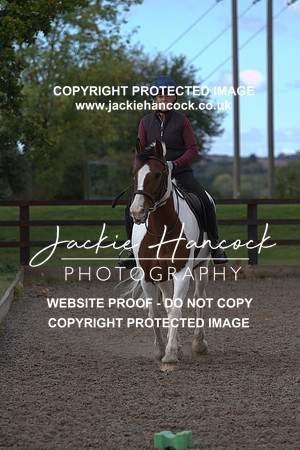 JHP20086