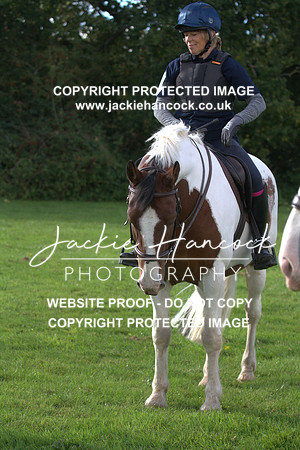 JHP20139