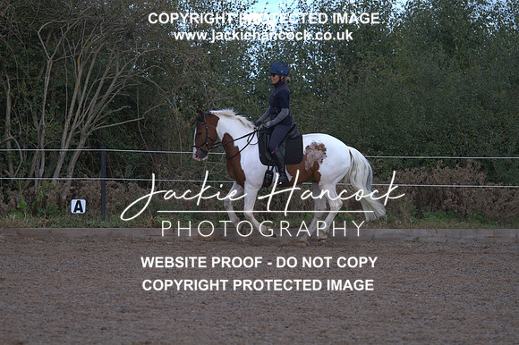 JHP20780
