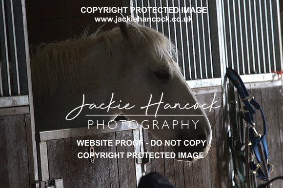 JHP20007