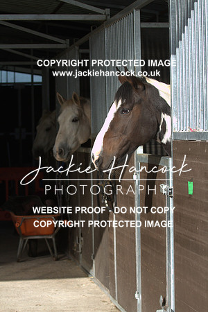 JHP20047