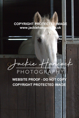 JHP20059
