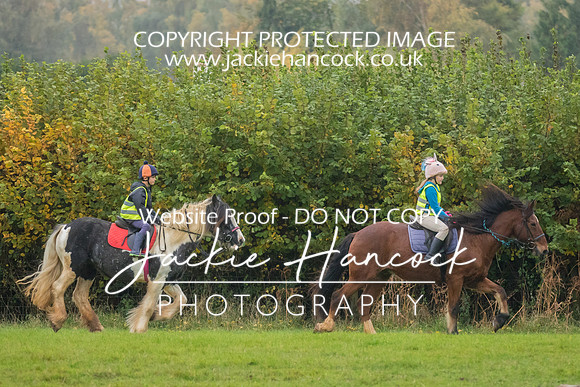 110051-241020-JHP-2