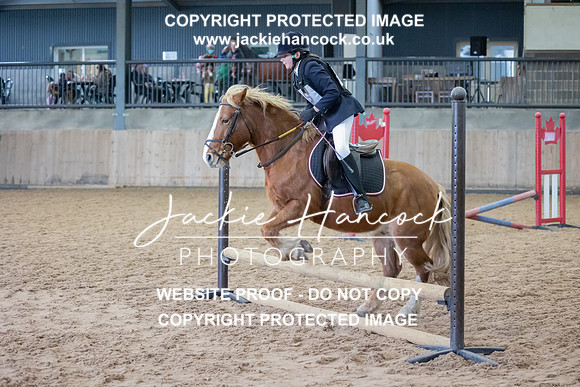JHP_2080